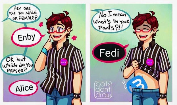 A two panel comic featuring a nonbinary person in a black and white striped "referee-style" shirt and blue jeans.

Someone off-screen says "Hey, are you male or female?"
Enby: "Enby"
Someone: "Ok, but which do you prefer?"
Enby: "Alice"
Someone: "No, I mean what's in your pants?!!"
Enby: "Fedi"

The enby then lifts their shirt to reveal the Mastodon logo tucked into their pants.

The original comic is by Cats Don't Draw.