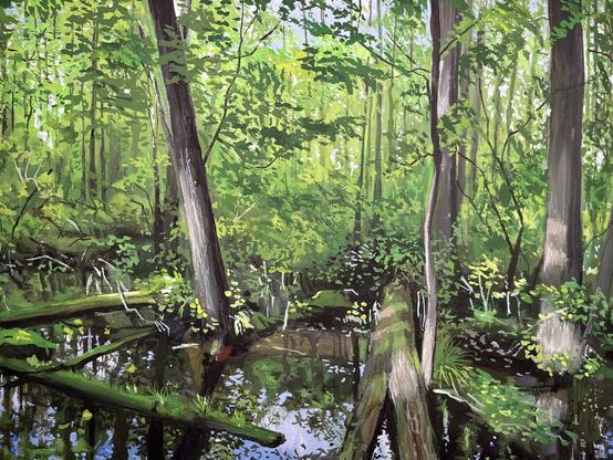 This painting portrays the rich, layered landscape of the Great Swamp in New Jersey. Tall trees rise from the forest floor, their trunks reflected in the still water below. Fallen logs, dense green foliage, and dappled sunlight create a sense of depth and quiet immersion. The scene captures the swamp’s natural beauty and calm, inviting the viewer into its tranquil, untamed world.

(Alt-text auto-generated.)