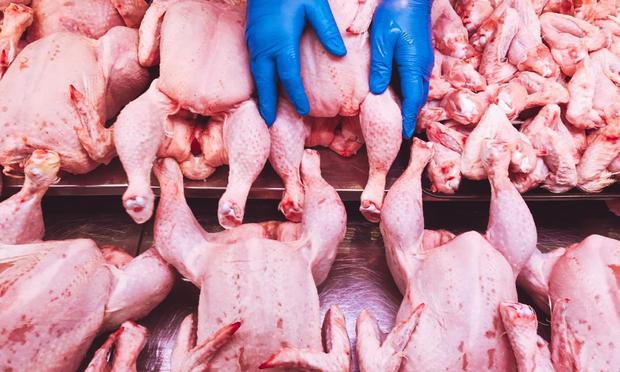 Imagen de archivo de pollos en una carnicería. (Getty Images)
