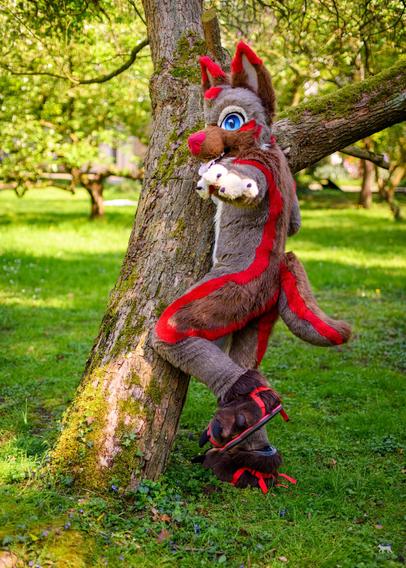 The final result fursuit photography. Spicey, the German shepherd fursuiter, is leaning against a tree and pointing towards the camera while standing in a green forest like field.