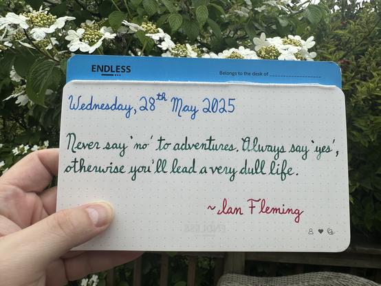 A pen quote of Ian Fleming that reads, “Never say 'no’ to adventures. Always say 'yes', otherwise you'll lead a very dull life.”

Written using Pilot Iroshizuku Kon-Peki and Wearingeul inks: The Brothers Karamazov & Captain Hook.