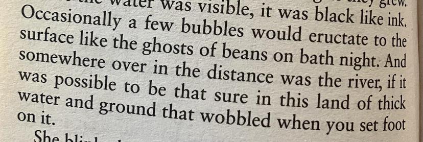 “Occasionally a few bubbles would eructate to the surface like the ghosts of beans on bath night.”

-Sir Terry Pratchett, “Witches Abroad”