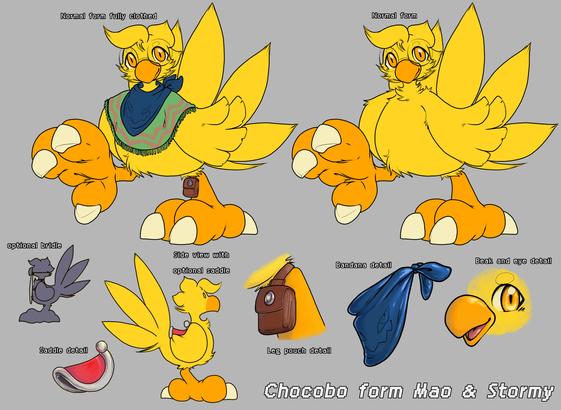 The character sheet of Mao and Stormy as a chocobo ~