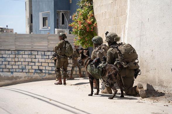 IDF Spokespersons unit.