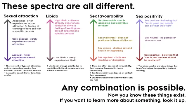 a chart detailing the difference in spectra for sexual attraction. it covers libido, sex positivity, sex favourability, and sexual attraction