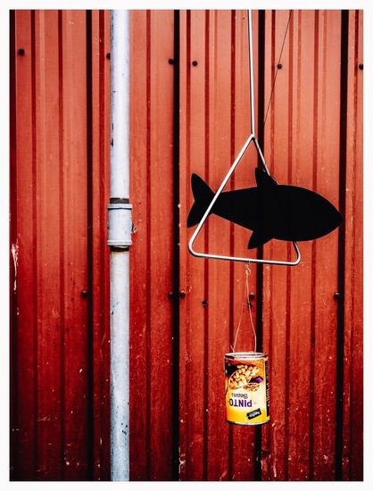 A can of beans hangs from a metal triangle by metal string. There's a plastic fish cutout hanging over it.