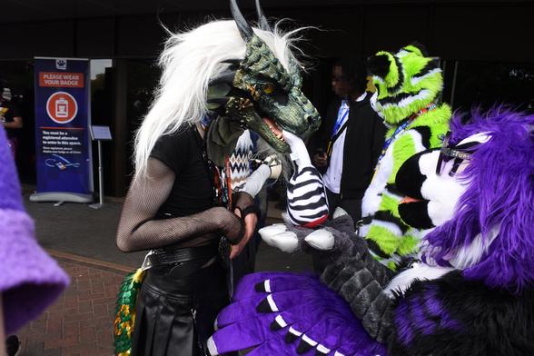 Fursuit photo - a dragon in a leather miniskirt and leather boots bites a zebra leg prop given to him by a bright purple gryphon (Nova Storm) outside the hotel lobby at Confuzzled 2025