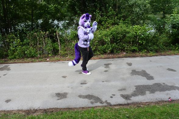 Fursuiter photo - a lavender and purple cat walks along a footpath next to a lake at Confuzzled 2025