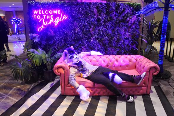 Fursuiter photo - a lavender and purple cat lounges on a leather-effect couch in one of the photoshoot areas at Confuzzled 2025