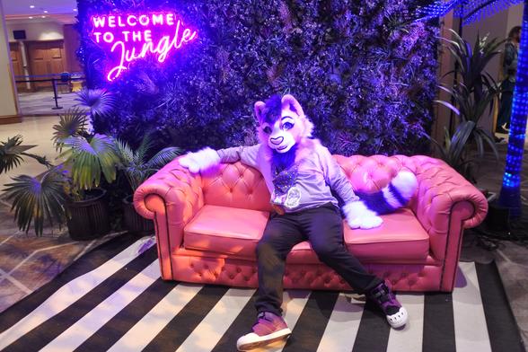 Fursuiter photo - a lavender and purple cat relaxes on a leather-effect couch in one of the photoshoot areas at Confuzzled 2025