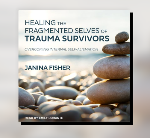 Cover art for the book "healing the fragmented selves of trauma survivors: overcoming internal self-alienation" by Janina Fisher. The cover shows a stack of rounded beach rocks on a shoreline of many rounded rocks.
