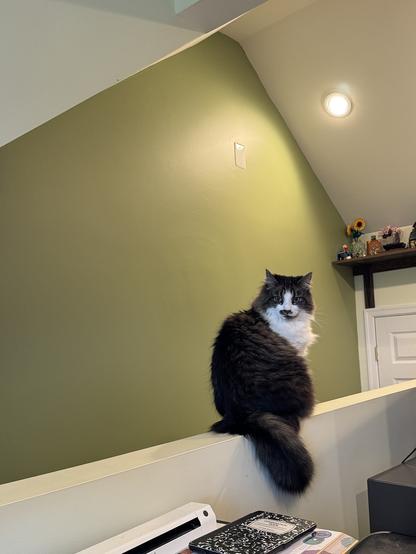 The image features a fluffy black and white cat sitting on a white ledge against a green wall. The cat has a predominantly black body with a white face, chest, and paws, and its tail is long and bushy. It is looking directly at the camera with a calm expression. The background includes a green wall with a light switch and a ceiling light, and a white door is visible in the upper right corner. On the ledge, there is a black and white notebook and a white printer. A shelf with decorative items, including a sunflower, is mounted on the wall above the cat. The overall setting appears to be a home office or study area.

Provided by @altbot, generated privately and locally using Ovis2-8B

🌱 Energy used: 0.166 Wh