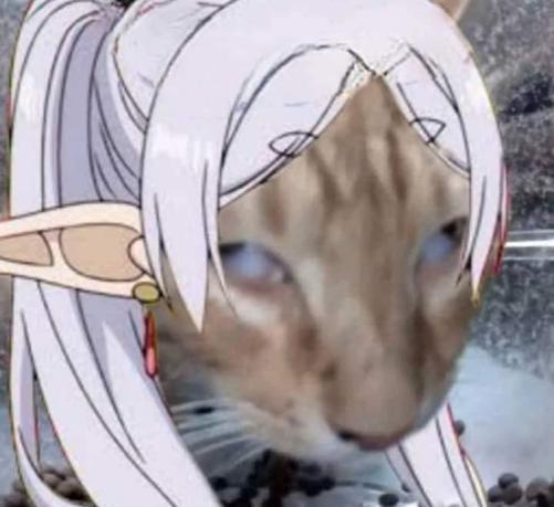 frieren as a cat, flashback-ing of the time she had with himmel
