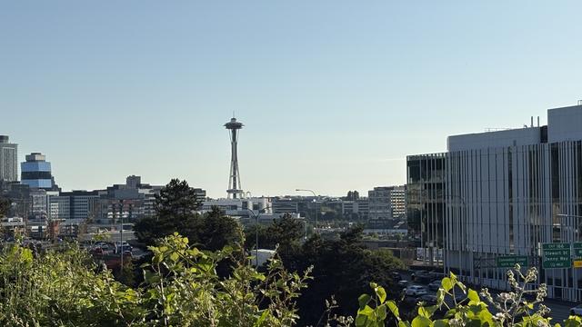 A view of Seattle city skyline featuring the Space Needle, surrounded by modern buildings and greenery in the foreground.