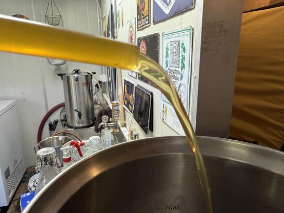 Pale amber wort streaming from a silicon hose