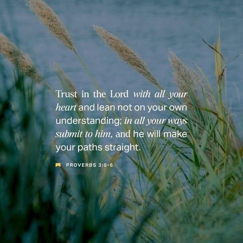 "Trust in the LORD with all your heart;
do not depend on your own understanding. Seek his will in all you do,
and he will show you which path to take." - Proverbs 3:5-6 (NLT)