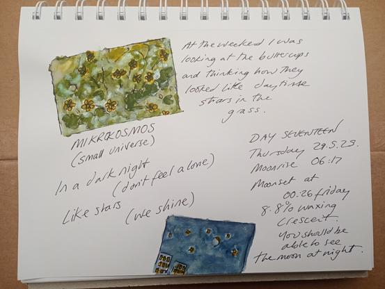Tiny sketches, one of yellow buttercups in green foliage, other of yellow stars, crescent moon and lights in buildings in blue background. Text about flowers, moon and BTS mikrokosmos