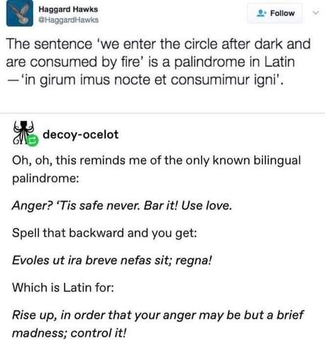 @Flaggardllawks: 
The sentence 'we enter the circle after dark and are consumed by fire' is a palindrome in Latin — 'in girum imus nocte et consumimur igni'.
decoy-ocelot: 
Oh, oh, this reminds me of the only known bilingual palindrome: Anger? 'Tis safe never. Bar it! Use love. 
Spell that backward and you get: 
Evoles ut ira breve nefas sit; regna! 
Which is Latin for: 
Rise up, in order that your anger may be but a brief madness; control it!