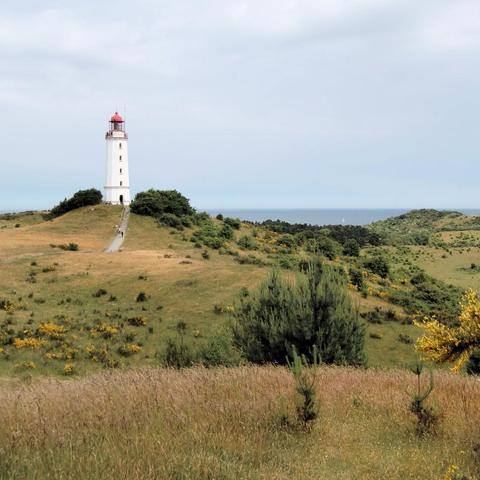 Weißer Leuchtturm mit roter Kuppel steht auf einem sanften Hügel in einer offenen, hügeligen Küstenlandschaft. Ein schmaler Weg führt durch trockenes Grasland mit gelb blühenden Sträuchern und vereinzelten Büschen zum Turm. Im Hintergrund erstreckt sich das Meer bis zum Horizont, darüber ein bewölkter Himmel. Im mittleren und hinteren Bereich sind grüne Baumgruppen und Buschvegetation zu sehen, die das Gelände strukturieren.