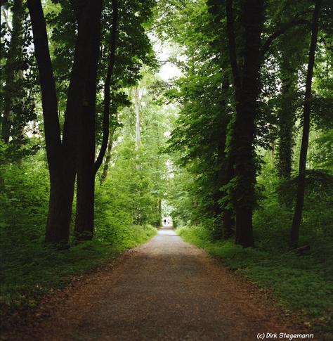 Münsterland
