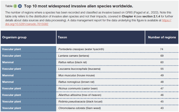 A data table titled "Top 10 most widespread invasive alien species worldwide." The table shows the number of regions where species have been recorded as invasive, based on GRIIS (2022). The table has three columns: Organism group, Taxon, and Number of regions.

Water hyacinth (Pontederia crassipes) leads with 74 regions, followed by lantana (Lantana camara) with 69 regions. Among mammals, the black rat (Rattus rattus) ranks third with 60 regions. Other notable species include leucaena (55 regions), house mouse (49 regions), brown rat (48 regions), castor bean (47 regions), tree-of-heaven (46 regions), black locust (45 regions), and Siam weed (43 regions).