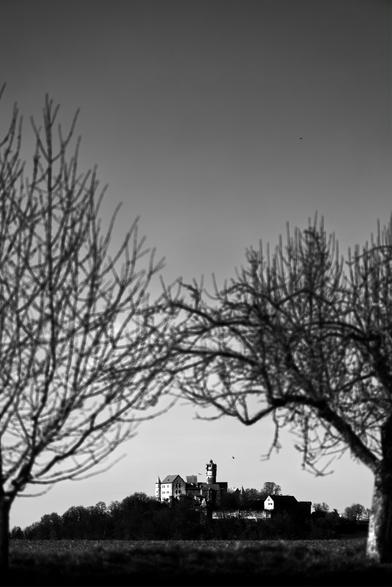 Black and white. Portrait format. A medieval castle on a hill in the distance, framed by two trees in the foreground.