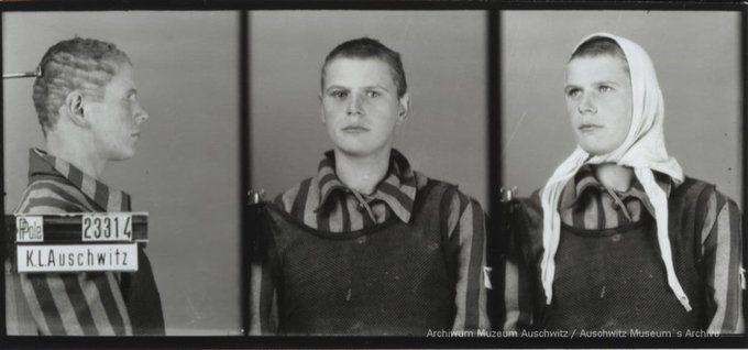 A mugshot registration photograph from Auschwitz. A woman wearing a striped uniform photographed in three positions (profile and front with a bare head and a photo with a slightly turned head with a headscarf on). The prisoner number is visible on a marking board on the left.