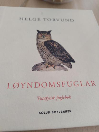 Bokomslag, framside: Helge Torvund, Løyndomsfuglar – Patafysisk fuglebok, Solum bokvenner. Fargeteikning av ei ugle.