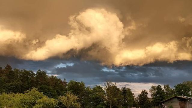 Oben im Bild: gelbbrauner Himmel mit einer großen gelbbräunlicher Wolkenformation, die wie große Welle aussieht, darunter dunkelblauer Himmel. Unten im Bild sind grüne Bäume zu sehen.