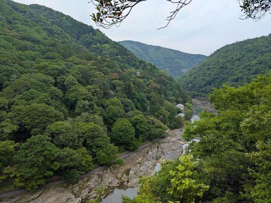 View of a river valley with rolling hills all around. The hills are completely covered in green trees. On the other side of the valley, half way up the hill sits a tiny house.