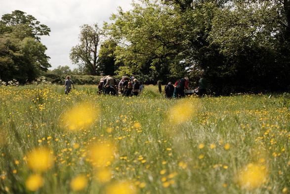Image: Finn Richards | photo taken on a hazy day; the camera is at wildflower height in a field of grasses, etc.; yellow blossoms are too near to be in focus; in the mid-distance is a group of people, clearly examining sometign or other; one person is headoing off to the left, towards trees, etc.; there are more trees farther away, and a hedgerow; we see some sky, a bright grey• “Take Me to the River is a discursive public engagement programme immersing our communities in the life of our rivers through creative responses with artistic, scientific and ecological expertise.…”