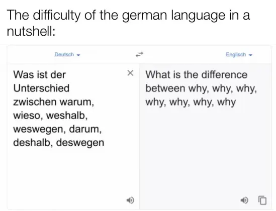 Meme says the difficulty of the German language in a nutshell


German: Was ist der Unterschied zwischen warum, wieso, weshalb, weswegen, darum, deshalb, deswegen

English translaton what is the difference between why, why, why, why, why, why