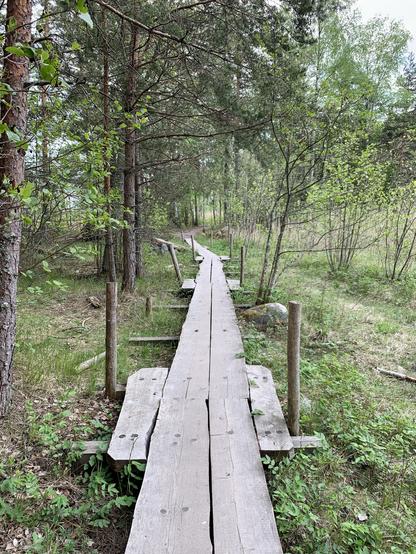 A wooden pathway extends through a green forest, bordered by trees and vegetation. The path is narrow and slightly elevated, suggesting it leads through a natural area. The surroundings feature new leaves and grassy patches.
