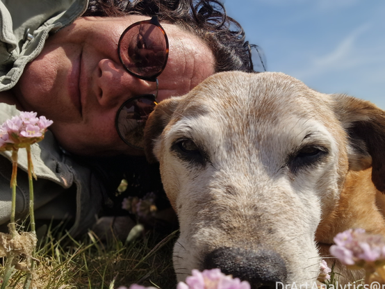A woman has her head on one side and her dogs old white haired face is in front. They are surrounded by pink flowers.