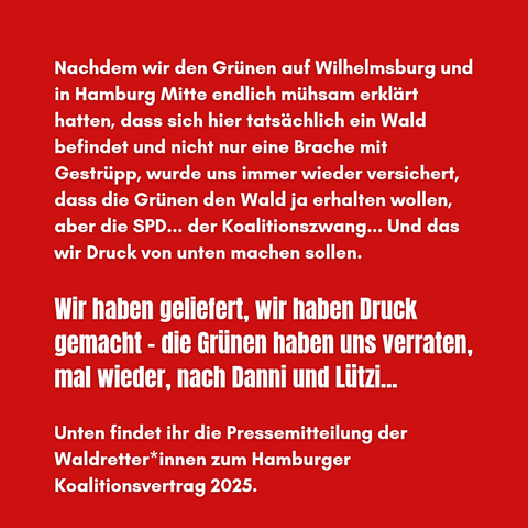 Nachdem wir den Grünen auf Wilhelmsburg und in Hamburg Mitte endlich mühsam erklärt hatten, dass sich hier tatsächlich ein Wald befindet und nicht nur eine Brache mit Gestrüpp, wurde uns immer wieder versichert, dass die Grünen den Wald ja erhalten wollen, aber die SPD... der Koalitionszwang... Und das wir Druck von unten machen sollen. 

Wir haben geliefert, wir haben Druck gemacht - die Grünen haben uns verraten,  mal wieder, nach Danni und Lützi...

Unten findet ihr die Pressemitteilung der Waldretter*innen zum Hamburger Koalitionsvertrag 2025.