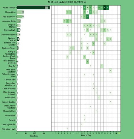 Chart generated by BirdNET-Pi with rows of all detected birds for Wednesday, May 28, 2025 in decending order.  The first large column displays a bar chart of relative frequency; the 24 reamaining columns create cells with the bird count for each hour of the day shaded by relative count.