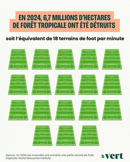 Dix-huit pictogrammes de terrain de foot pour bien visualiser le volume des disparition de forêt tropicale à la minute.