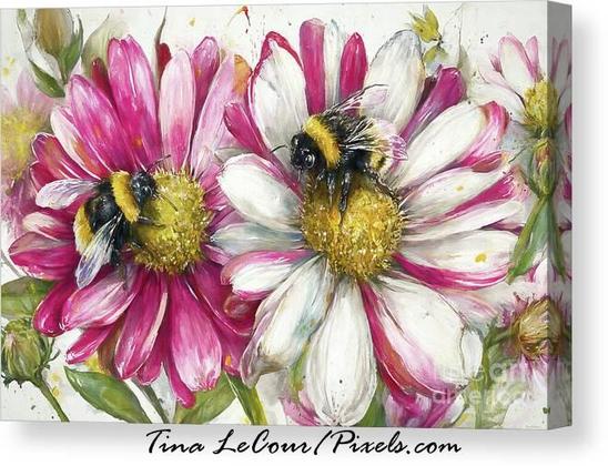 This is a canvas watercolor of some big pink and white daisy flowers with two bumble bees gathering nectar.