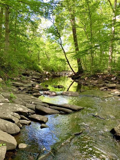 A small stream runs through the rocky area beneath a canopy of vivid green foliage, surrounded by trees. The slow-moving water, reflecting the woods, turns into a swift current in the foreground.
