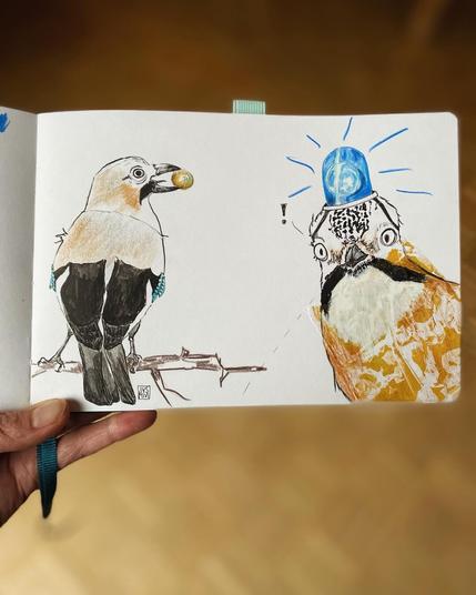 Sketchbook page with two drawings of a jay: on the right the one described before and on the left a more naturalistic drawing of a jay with an acorn in its beak.