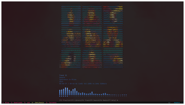 The Kew music player for your terminal playing a rap song of Skepta, the british rapper. 

The album cover is showed in ascii art <3