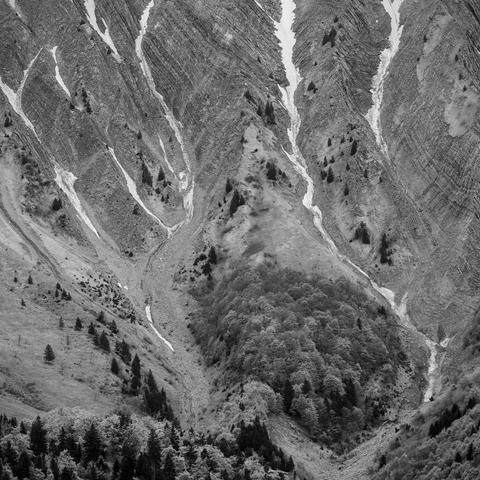 Photo noir et blanc.
Au bas d'une pente raide et très pierreuse, veinée de névés, un bosquet forme une île.