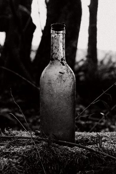 Vieille bouteille perdue dans les bois