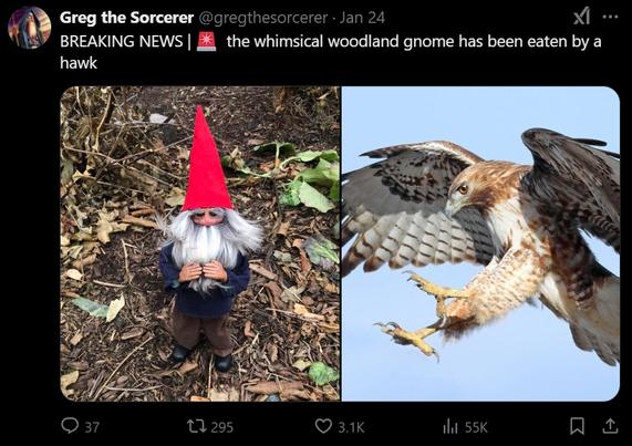breaking news: the whimsical woodland gnome has been eaten by a hawk.

two images.
1: gnome with red pointed hat and white beard.
2: hawk with his talons extended