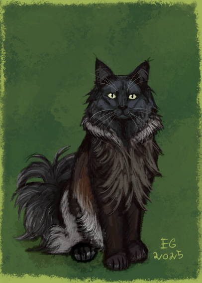 Digital colored sketch of a sitting Norwegian forest cat, whose coat is black and brown with cream undertones.