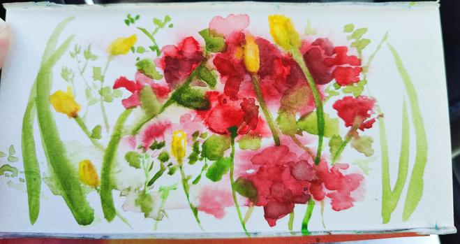 A watercolor sketch of yellow poppies in front of geranium rose type flowers.