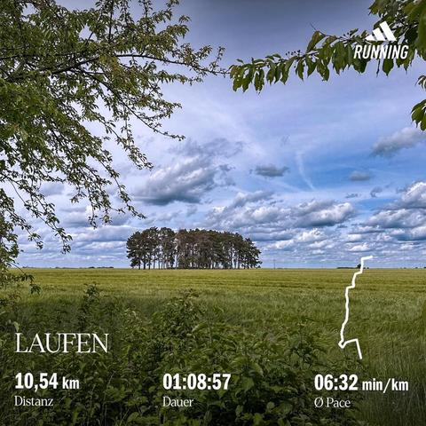 Blick auf eine kleine Bauminsel mit einigen licht auseinander stehenden Bäumen, mitten in einem Kornfeld gelegen, eingerahmt von Sträuchern, darüber ein bewegt bewölkter Himmel