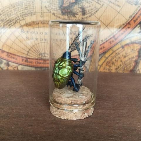 Un scarabée doré en resine, sur un brin de bois, dans une petite fiole en verre de 30mm de diamètre. Ses élytres prennent la forme d'un crâne stylisé
