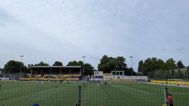 Spielerinnen auf dem Rasen im Stadion.