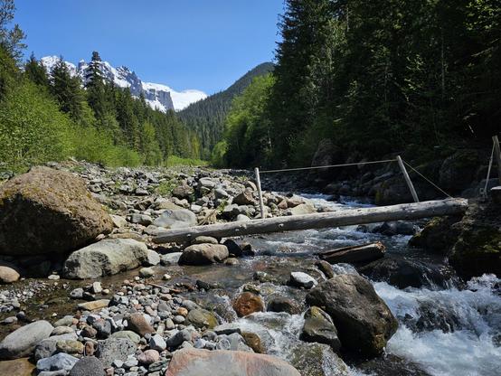 mountain stream with a log bridge and rope hand rail, white peaks in the distance behind green hills